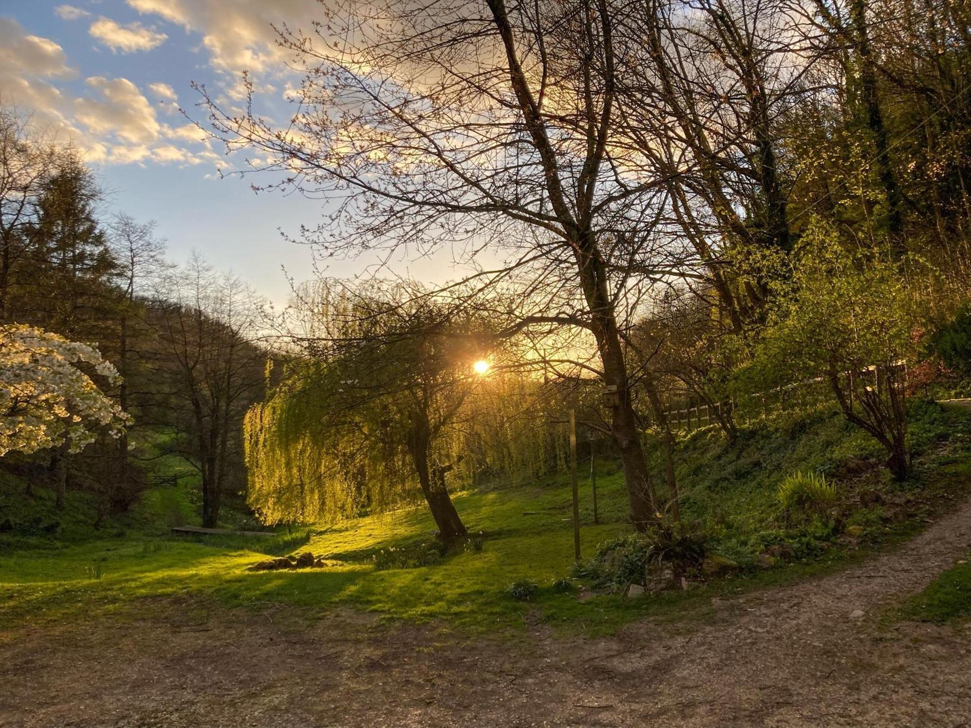 Driftcombe Farmhouse Bisley  Экстерьер фото